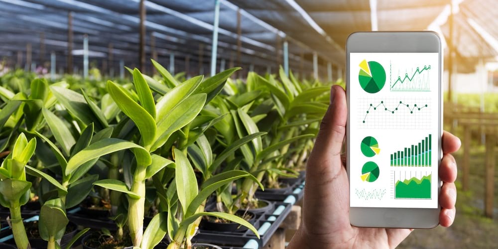 Plantas numa estufa e, à direita, uma mão a segurar um telemóvel com diferentes gráficos