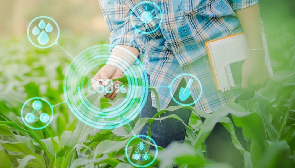 una persona en un campo tocando una hoja y algunos símbolos electrónicos alrededor, como gotas de agua, sol, cucaracha, etc.