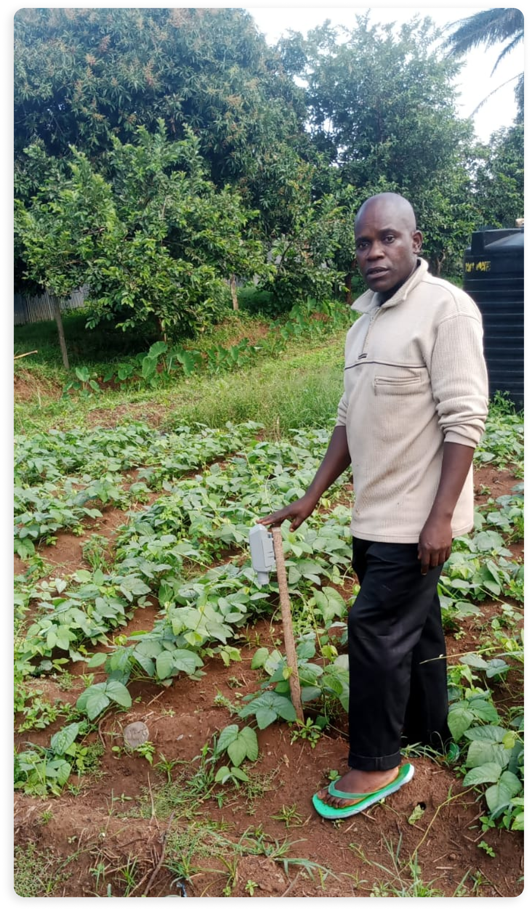 OPEN: Implementing Precision Farming in Kenya